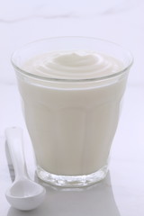 Vintage retro styling yogurt