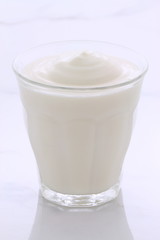 Vintage retro styling yogurt