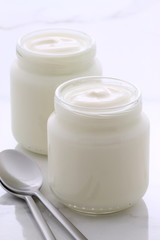 vintage plain yogurt