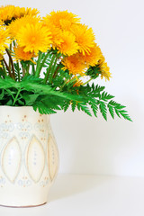 dandelions in a clay vase