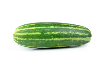 A fresh and tasty green vine ripened garden grown cucumber isola