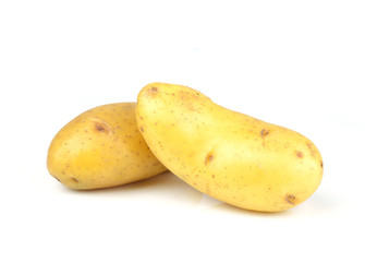 potato on white background