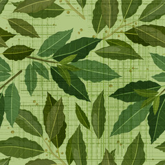 seamless texture of bay leaf
