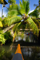 Polynesia culture..