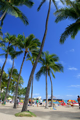 Waikiki Beach, Honolulu, Oahu, Hawaii..