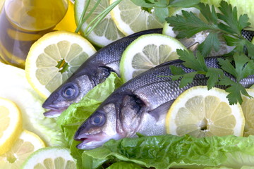 Spigola,olio e limone