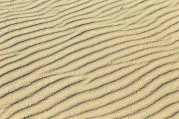 Bird tracks on the sand