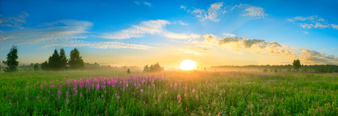 paysage avec le lever du soleil, un panorama de prairie fleurie