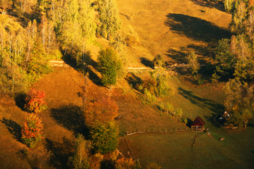 Autumn forest colours in the Carpathians, Romania, Europe
