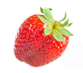 Fresh strawberries were placed on a white background