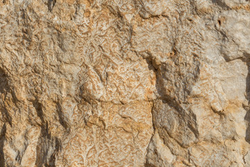 Texture - light yellow sandstone, structure of stone.