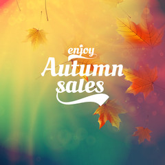 Autumn sale realistic Leaves typography poster.