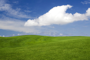 Beautiful green landscape
