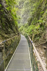 Foto op Canvas Gorges de la fou walkway © chbaum