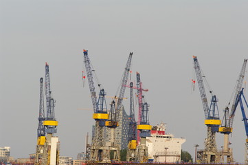Krane im hamburger Hafen 9
