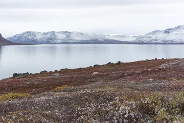 Crédence de cuisine en verre imprimé Cercle polaire Arctic landscape in Greenland