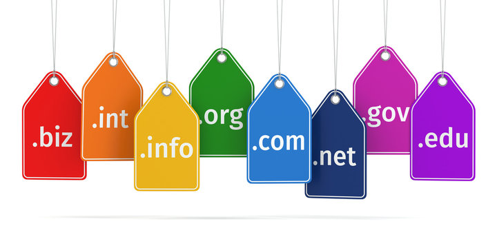 Domain concept. Labels on white isolated background.