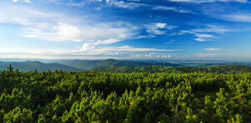 Obraz premium Carpathian mountain landscape panorama