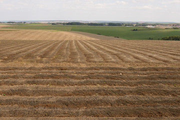 r&eacute;colte du lin