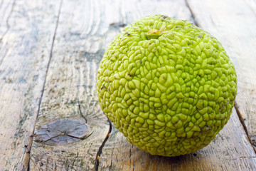 Monkey brain fruit