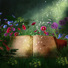 Magic book in the forest