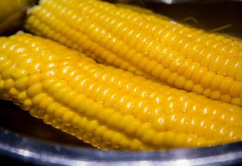 Boiled corn