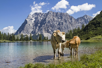 Almidylle im Wettersteingebirge
