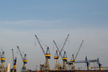 Fototapeta premium Krane im hamburger Hafen 2