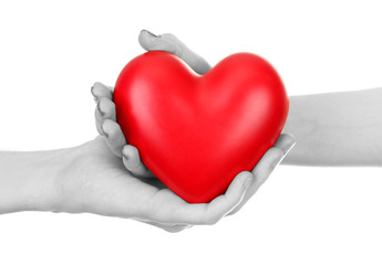 Red heart in hands, isolated on white