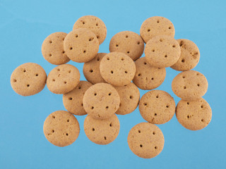 Close up of round dog biscuits on a blue background