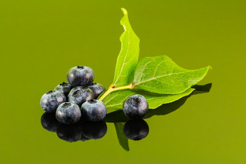 Blueberry on green background with leaf