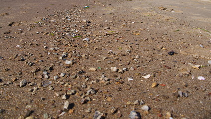 Baltic Beach sand close up