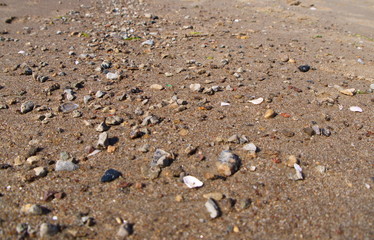 Baltic Beach sand close up