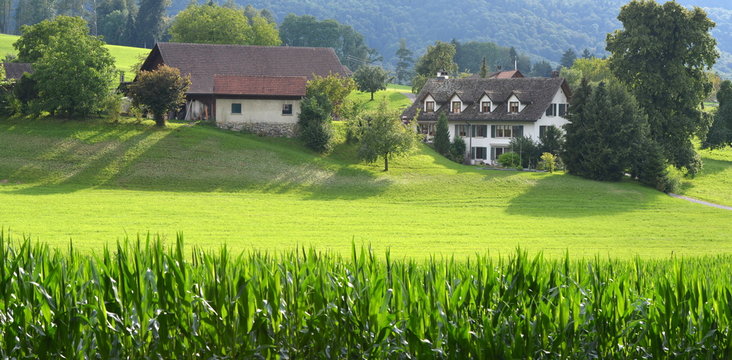 zurich