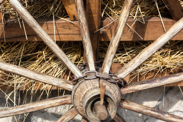 Ox Cart  Wheel with Strow