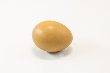 egg
