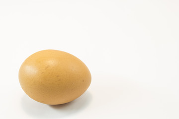 egg