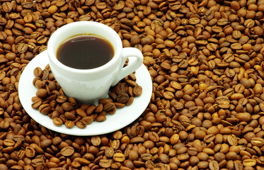 coffee
