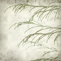 Obraz premium textured old paper background
