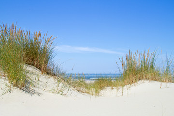 Fototapeta na wymiar View on the sea between two dunes