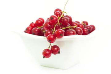 currants in a white bowl
