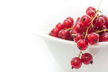 currants in a white bowl