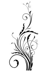 Decorative floral branch