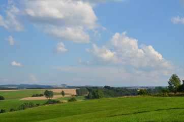 Naklejka premium Hügellandschaft im Sommer