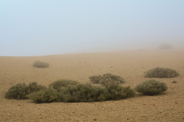 Nebel am Vulkan Teide auf Teneriffa