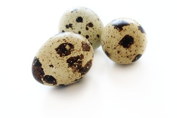 quail eggs isolated on white background