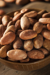 Raw Organic Cocoa Beans