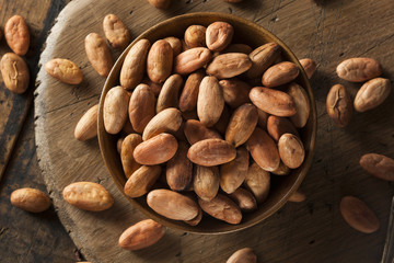 Raw Organic Cocoa Beans