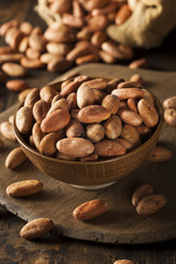 Raw Organic Cocoa Beans