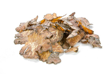 Ligusticum sinense Oliv. cv.Chuanxiong Hort on white background